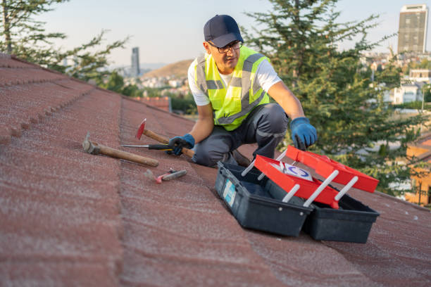 Best Insulated Siding Installation  in Level Green, PA